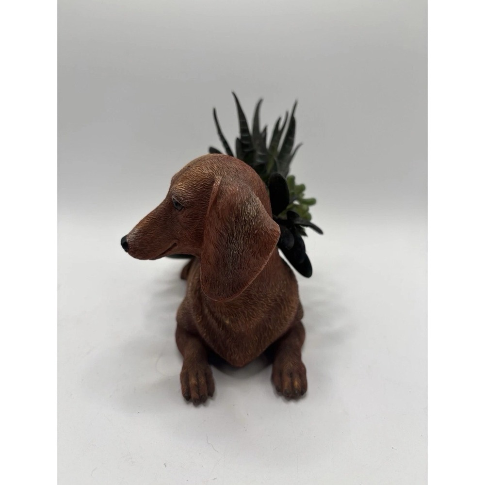 THE BRADFORD EXCHANGE  Dachshund Planter Succulents Numbered - Picture 2 of 6